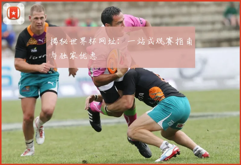 揭秘世界杯网址：一站式观赛指南与独家优惠