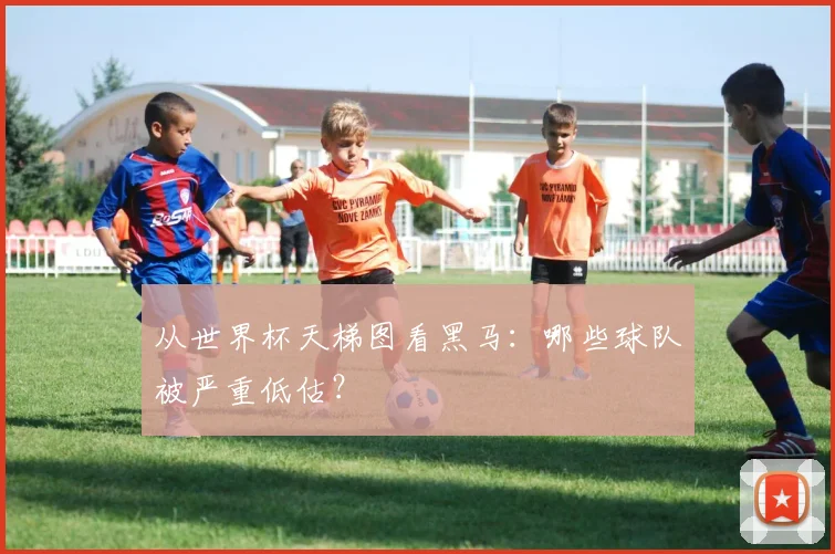 从世界杯天梯图看黑马：哪些球队被严重低估？
